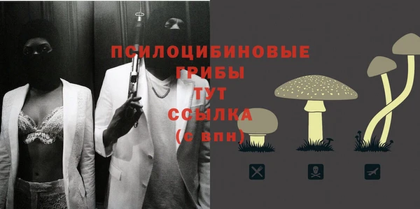 хмурый Абаза