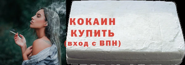 хмурый Абаза