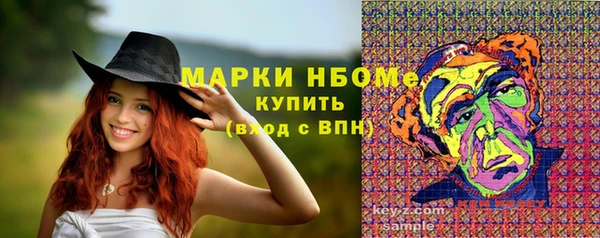 хмурый Абаза