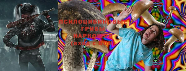 ECSTASY Покачи