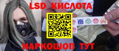 крисы Будённовск