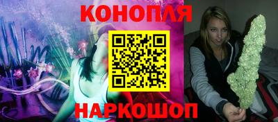 крисы Будённовск