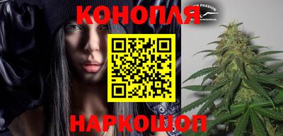крисы Будённовск