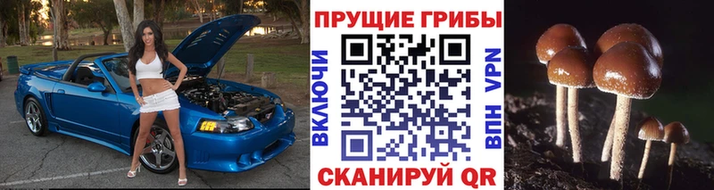Галлюциногенные грибы мицелий Партизанск
